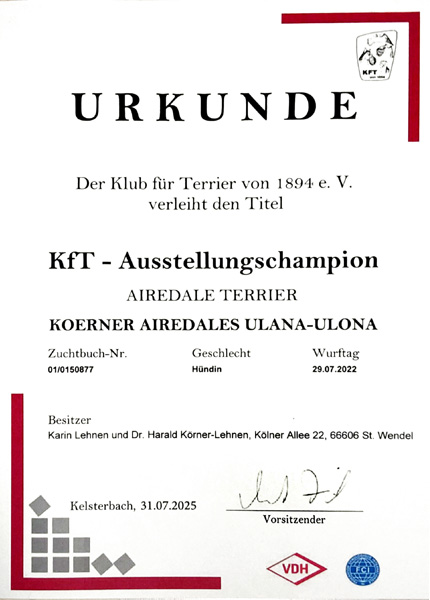 Urkunde - KfT Austellungschampion